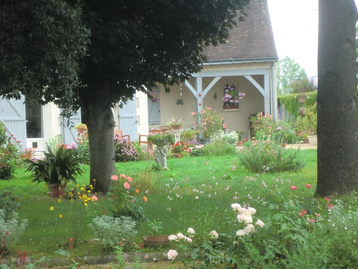 Chambre D'Hotes La Belle Saison Villedomer Zewnętrze zdjęcie